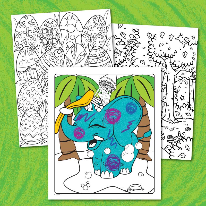 Collection of coloring pages 