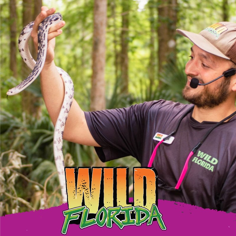 Wild-Florida-Event-6.6.25
