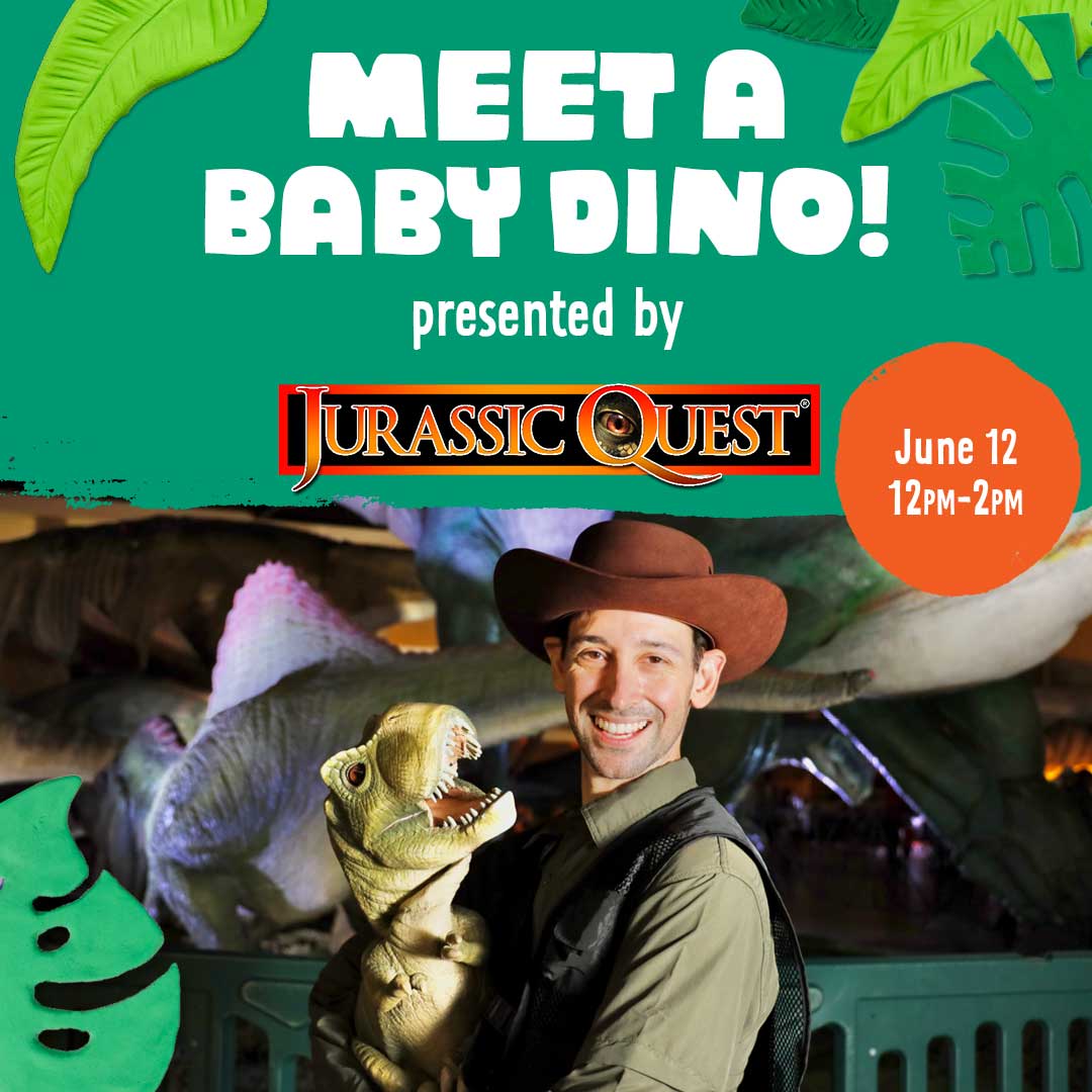 Meet a Baby Dino presented by Jurassic Quest. June 12 | 12-2 p.m.