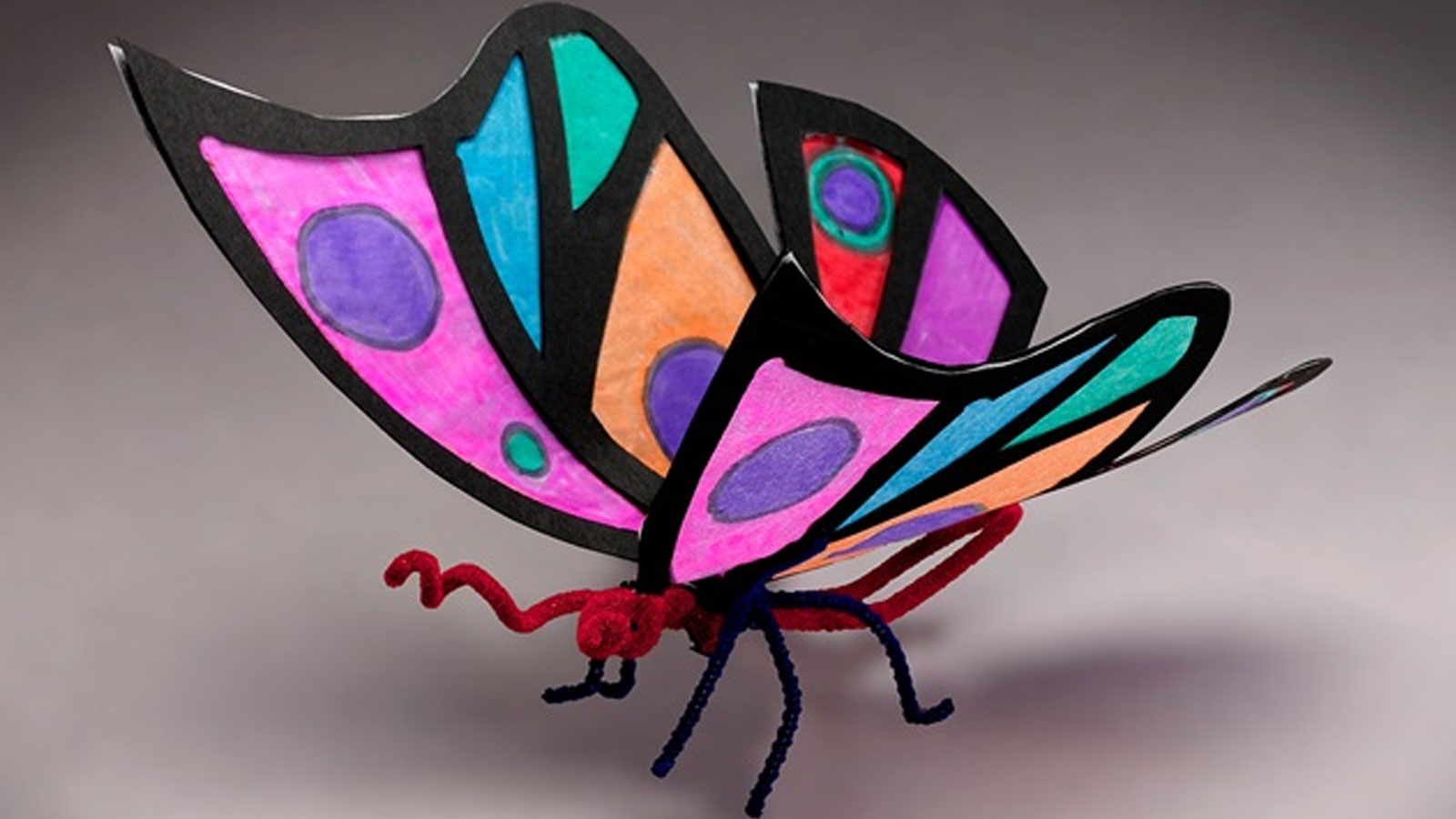 Farfalla della foresta pluviale